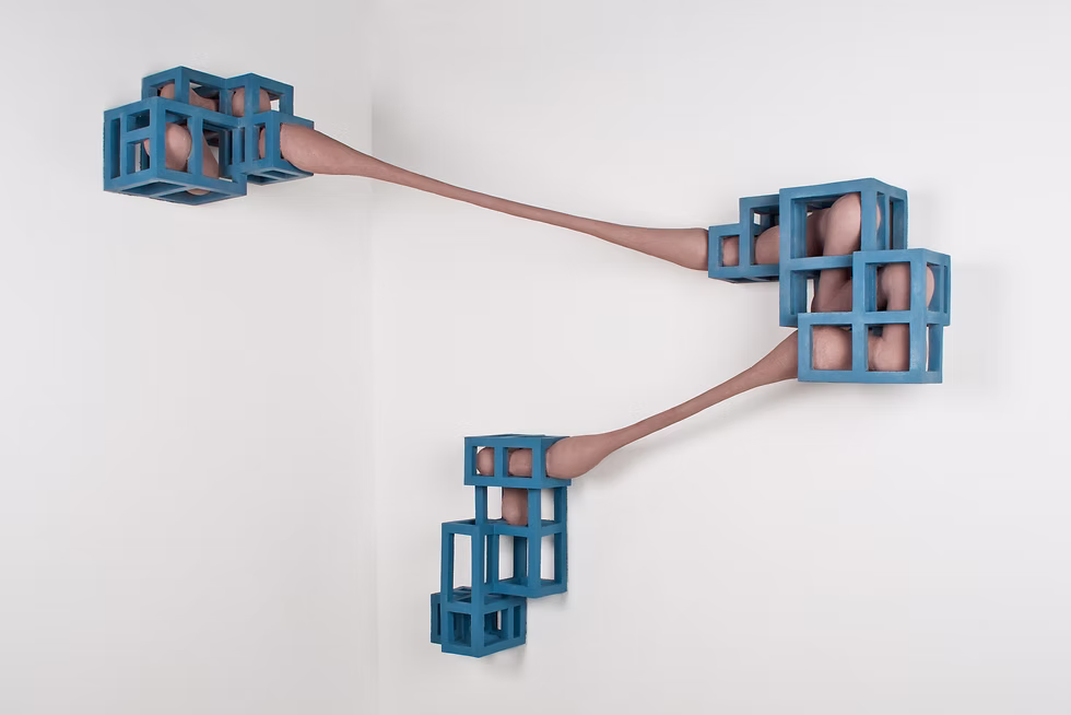 Scaffold Society